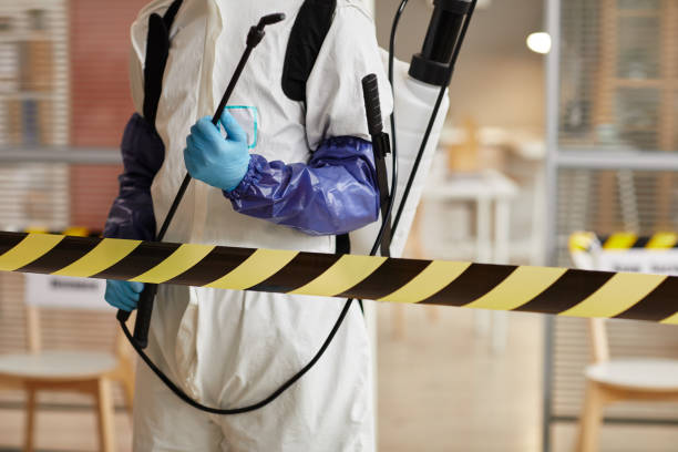Professional Hoarding Cleanup technician working in Bellevue, IA